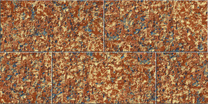 Carreaux muraux Premium Choice de qualité supérieure, carreaux d'élévation Asia Tiles 300x600mm pour articles de santé. - Product Image 2