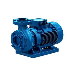 Bomba Monobloque Centrífuga Horizontal Totalmente Automática con Motor Trifásico y Conexión por Brida Eléctrica de Proveedor Original - Product Image 1