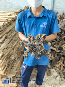 Decoración de Acuario de Madera Flotante Natural de Alta Calidad, Forma Irregular, Ecológica, para Acuarios y Terrarios, Hecha en Vietnam - Product Image 6