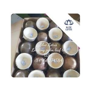 Assiettes en feuilles de palmier de haute qualité, jetables, pour traiteur, événements, fêtes, buffets et restauration au Vietnam - Product Image 1