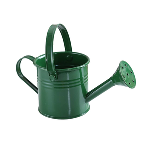 Metal Garden <b>Watering</b> <b>Can</b> with Long Spout and Dual Handle, Durable Metal Plant <b>Watering</b> Pot with Sprinkler Head for <b>Indoor</b> Plant - Product Image 3