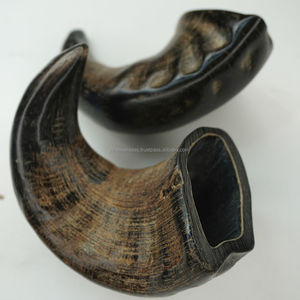 Natural Dog Chews Premium Buffalo Horn Strong Durable Safe Healthy Treats par NHE Overseas - Product Image 1
