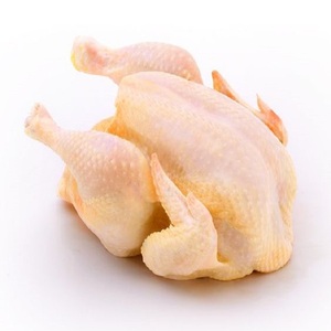 เนื้อไก่แช่แข็งคุณภาพสูงสำหรับส่งออก 100% ธรรมชาติ ได้รับการรับรองฮาลาล ไม่มีกระดูก ไม่มีหนัง แบบดรัม 25 กก. เกรดซุปเปอร์ สำหรับธุรกิจบริการอาหาร - Product Image 4