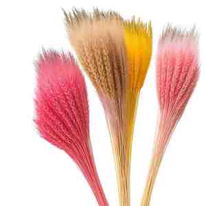 Arrangement de fleurs séchées cosmiques de qualité supérieure, plumes éternelles, plumeuses, pour la Saint-Valentin, la maison, le bureau, la décoration d'événements 2023 - Product Image 1