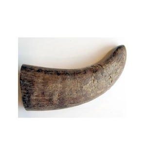 Cuernos de Vaca y Búfalo Orgánicos Pulidos al por Mayor, Etiqueta Privada Personalizada, Forma Natural, Decoración para el Hogar, Bolsa de 25 kg - Product Image 2