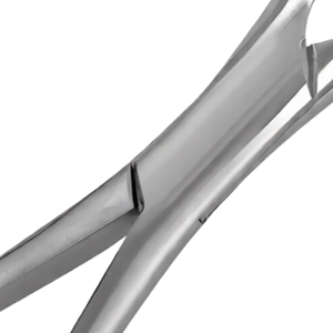 Pinzas de Extracción Dentales Americanas # 23 Palas de Extracción de Dientes de Acero Inoxidable con Mango de Pitón Hueco Dorado, Manuales, Certificadas CE - Product Image 6