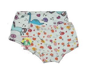 Bragas de punto con estampado de dibujos animados de algodón 100%, calzoncillos suaves de primera calidad, conjunto de ropa interior para niños, compras en línea de fábrica directa de la India - Product Image 2