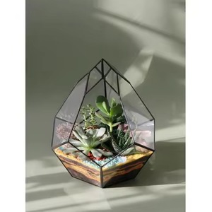 Premium Accent Glass Metal Terrarium Planter Elegant Indoor Plant <b>Display</b> <b>Case</b> Home Decor - Product Image 6