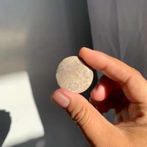 หินปะการังธรรมชาติจากอินโดนีเซีย ขนาด 3-5 ซม. ขัดเงาธรรมชาติ สำหรับทำเครื่องประดับและงานฝีมือ - Product Image 5