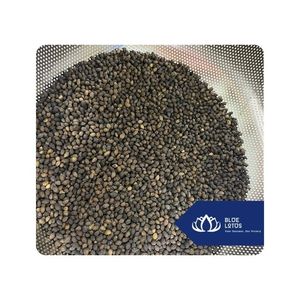เมล็ดมะละกอเกรดพรีเมียม ยี่ห้อบลูโลตัส สำหรับส่งออกจำนวนมาก จำหน่ายในเวียดนาม อายุการเก็บรักษา 6-12 เดือน - Product Image 1