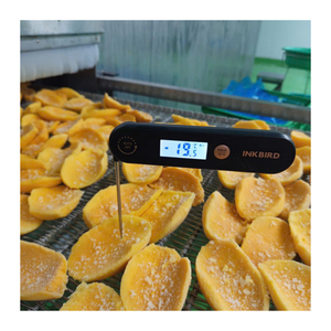SUMINISTRO DE FÁBRICA DE PALITOS DE MANGO CONGELADOS, COMESTIBLES COMO HELADO, SNACK DE FRUTA NATURAL PARA EXPORTACIÓN - Product Image 1
