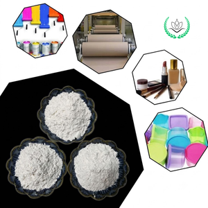 Poudre de talc de qualité supérieure pour masterbatch, poudre de talc industriel, poudre de remplissage haute pureté, faible MOQ, directement du fournisseur - Product Image 4