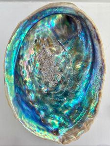 Polished Green <b>Abalone</b> <b>Shell</b> Vietnam for Jewelry Making Craft Inlay Decorative Art and Handmade Accessories Wholesale - Product Image 1