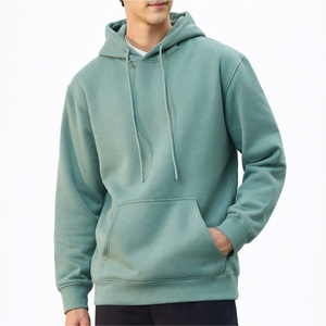 Sweat-shirt à capuche vert menthe pour homme, en coton molletonné, de haute qualité, uni, surdimensionné, décontracté, streetwear d'hiver - Product Image 1
