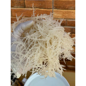 Alga Marina Eucheuma Cottonii Seca y Sazonada Orgánica de Alta Calidad en Bolsa con Proceso AD - Mejor Precio Sra. Lily - Product Image 6