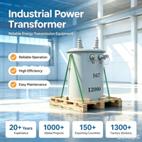 Transformateur de distribution immergé dans l'huile monté sur poteau 450 KVA 22 KV, classe 1 d'efficacité énergétique, certifié GOST CE, 50/60 Hz