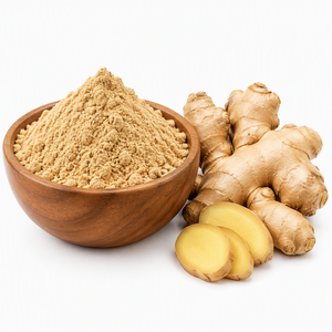 Natural Ginger Powder <b>Spray</b> Dried Fine Powder Organic <b>Plant</b> Extract Food Grade for Food Seasoning Beverage Use Oral Supplements - Product Image 1