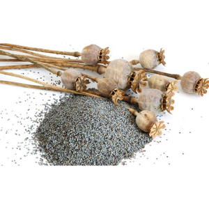 Semillas de Amapola Naturales de Alta Calidad, Muy Nutritivas y de Buen Sabor, en Venta al por Mayor - Product Image 5