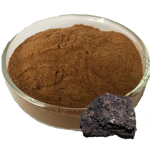 Extrait pur de Shilajit de l'Himalaya OEM avec plus de 60 % d'acide fulvique pour soutenir l'immunité et l'énergie, poudre de Shilajit de qualité supérieure pour hommes et femmes - Product Image 2