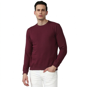 Sudadera Ecológica para Hombre con Cuello Redondo, Logotipo Personalizado, 100% Algodón, Transpirable, Sostenible, Informal, para Otoño, Lisa - Product Image 1