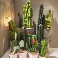 Approvisionnement d'usine vente chaude à la main Cactus en pots plantes artificielles pour la décoration intérieure extérieure décoration bureau désodorisant