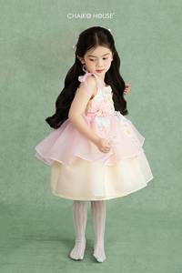 Vestidos de Niña de las Flores Color Rosa, con Cuentas Hechas a Mano, Estilo Ballet, para Fiestas y Eventos, Hechos a Mano, Alta Costura Infantil, Venta al por Mayor - Tinkerbell - Product Image 3