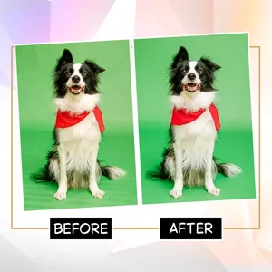 Servicio Profesional de Edición de Imágenes de Mascotas con Retoque de Pelaje y Mejora de Aspecto Natural Disponible en Cantidad al por Mayor - Product Image 4