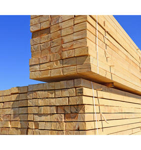 Madera de abedul de calidad selecta y superior para molduras interiores premium y producción de molduras personalizadas, redes de distribución mayoristas - Product Image 5