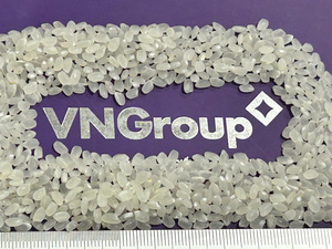 Riz de Konjac Shiratake à Grains Courts Séché, Faible en Calories, Certifié Halal et Casher, Sans Gluten, Zéro Matière Grasse, Vente en Gros - Product Image 3