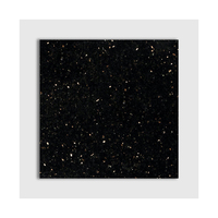 Nouveauté : Dalle de granit naturel Black Galaxy pour la décoration intérieure, disponible au prix le plus bas auprès d'un exportateur indien