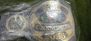 Cinturón de Campeonato Personalizado con Logotipo, Trofeo de Ganador en Oro con Correa de Cuero PU y Ajuste Regulable - Product Image 5