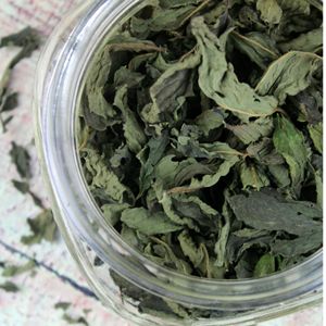 Suministro al por Mayor de Hojas de Menta Secas Naturales de Vietnam, Marca EXPAD, 12 Meses de Vida Útil - Product Image 5