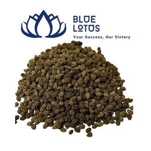 Graines de papaye séchées de haute qualité en vrac, poudre de graines de papaye brute biologique, matière première pour épices, Vietnam - Product Image 1