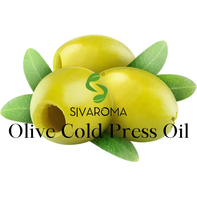 Prezzi accessibili 100% olio di oliva puro per multiuso utilizza la fabbricazione di olio in India di alta qualità per gli acquirenti sfusi