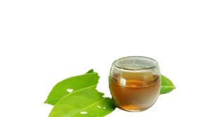 ชาใบกราวิโอลาของเวียดนามต้นทุเรียนเทศธรรมชาติตากแห้งชาสมุนไพรบรรจุเป็นกลุ่มสำหรับผลิตและส่งออก - Product Image 5