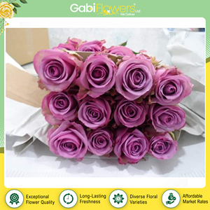 Décorations festives de qualité supérieure, bouquets et fleurs fraîches coupées pour occasions spéciales, roses lilas provenant d'un fournisseur kényan. - Product Image 2