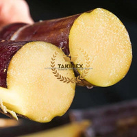 Vietnam Oorsprong Biologische Iqf Bevroren Gepelde Klein Gesneden Suikerriet Vacuümverpakking Uitstekende Kwaliteit Export Karton Bulk Beschikbaar