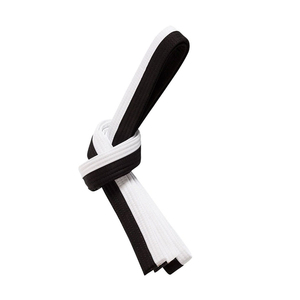 Karate <b>Belts</b> Manufacturer Pakistan With Custom Branding And Logo Printing Lightweight Martial Arts Karate <b>Belts</b> Exporter <b>Belt</b> - Product Image 2