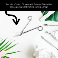 Ciseaux à ongles à long manche en acier inoxydable Pinces à ongles incurvées pour pédicure avec pointe pointue