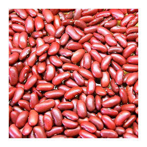 Haricots rouges foncés nouvelle récolte, prix des haricots rouges, produits phares, haricots rouges en stock, 100% biologiques, processus sûr - Product Image 6