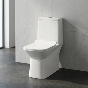 WC monobloc en céramique moderne à siphon en S pour bâtiments commerciaux et projets hôteliers - Product Image 1