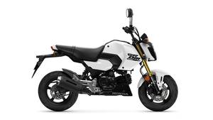 Motocicleta MSX125 de 125cc, Refrigerada por Aire, Divertida, Disponible Ahora, 2025 - Product Image 4