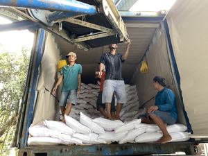 Perfume fragante de arroz de jazmín blanco de alta calidad del proveedor de Vietnam, arroz glutinoso seco para uso culinario - Product Image 5