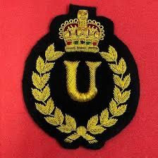 Écussons de luxe haut de gamme personnalisés brodés à la main YC, motif animal 3D en feutre non tissé, à coudre sur vêtements et sacs à dos - Product Image 3