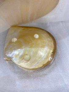 ถาดเปลือกหอยมุกขัดเงา จานเปลือกหอยธรรมชาติ จานใส่ไข่ปลาคาเวียร์ งานฝีมือทำมือ ของขวัญสุดหรู ขายส่ง - Product Image 2