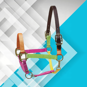 Ecuestre cazador verde cuero ajustable corona nailon caballo Halter PP ecológico logotipo personalizado accesorios para alfombras de caballo - Product Image 5