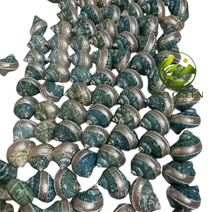 Coquilles turbo naturelles en vrac du Vietnam, coquilles polies pour les propriétaires de crabes ermites, décoration d'aquarium, artisanat de bijoux DIY et souvenirs - Product Image 5