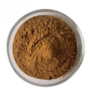Polvo de Raíz de Diente de León de Grado Alimenticio Premium para Té y Café, Polvo Natural de Taraxacum Officinale para Desintoxicación y Apoyo Diario al Bienestar - Product Image 6