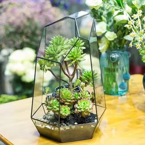 Elegante Terrario de Vidrio y Metal para Plantas, Soporte Geométrico para Plantas de Interior, Decoración para el Hogar - Product Image 2