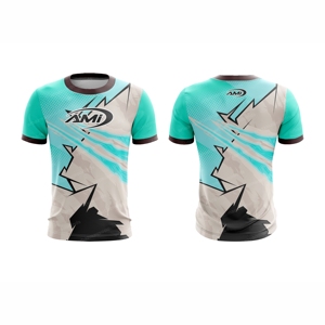 Unisex <b>Polyester</b> Sublimation <b>Tshirt</b> Streetwear Soild Short Sleeved Breathable Training Quick Dry Fit Blank Sport <b>Tshirts</b> for Men - Product Image 1
